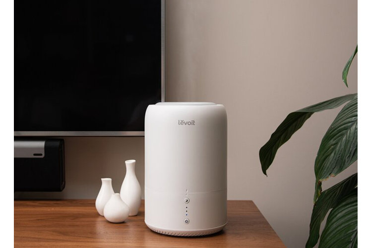 Do I Need a Humidifier? How to Choose the Right Type of Humidifier for